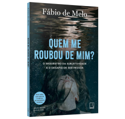 Livro Quem me Roubou de Mim?