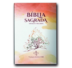 Bíblia Sagrada Iniciação à Vida Cristã