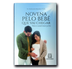 Livro Novena pelo Bebê que vai Chegar